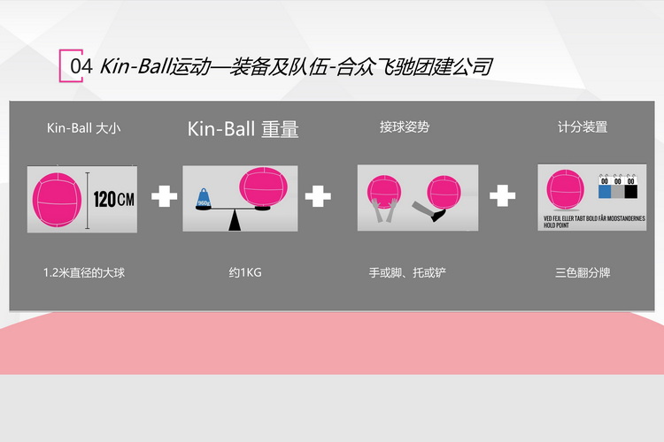 KIN-BALL健球主题团建活动(图5)